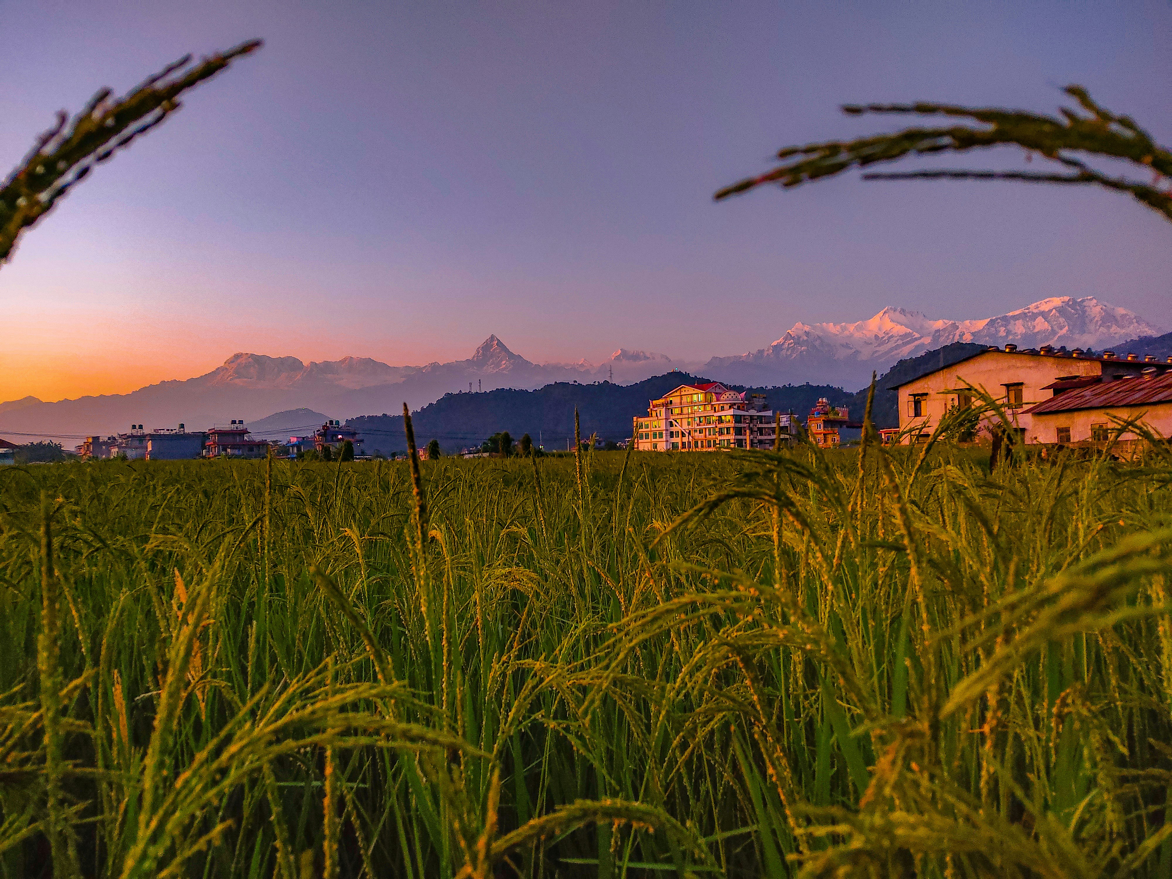 Kathmandu Pokhara Tour
